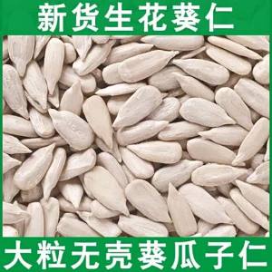 Baking and Oil Extraction Sunflower Seed Kernel Raw and Cooked