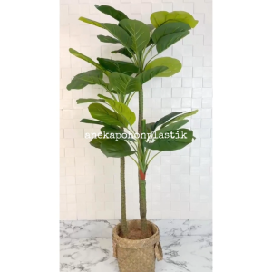 Pohon Hias Imitasi Daun Apel T100 Latex Artificial Cover Purun Handle Small Hiasan Rumah Hiasan Studio Aesthetic
