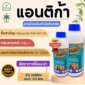 แอนติก้า สารป้องกันกำจัดโรคพืช เพื่อป้องกันกำจัดโรคกาบใบแห้งที่มีสาเหตุจากเชื้อรา ของแท้100% ขนาด 1 ลิตร