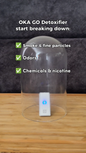 OKA Go V5 Personal Wearable Air Purifier Ionizer Necklace Negative Ion Disinfector