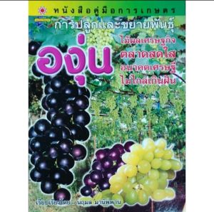 หนังสือเกษตร องุ่น คู่มือการปลูกและขยายพันธุ์องุ่น ปก 135 ชนิดและสายพันธุ์ องุ่นที่ใช้ทำไวน์ การขยายพันธุ์ การทำค้าง