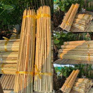 ไม้หลักยึดต้นไม้ ปลายแหลมยาว 80 ซม. 100 อัน เหลาลบคม หลักยึดต้นไม้