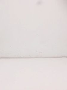 Kelopak Bunga Sintetis Mawar: Dekorasi 1000pcs Rose Petal