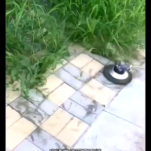 COD Kepala Sikat Pisau Mesin Potong Rumput 6 & 8 Inch Bahan Kawat Baja Grass Trimer Mata Bulat LI2