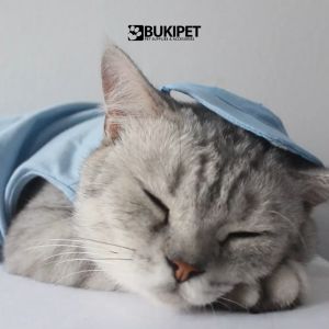 Baju Kucing Anjing Cowok Cewek Murah Lucu Satu Set 3 Pcs - BUKI BLUE PAWS PACKAGE