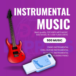 INSTRUMENTAL MUSIC COLLECTION  500 MUSIC | USB Flash Drive with Song Music | MP3 320 KBPS HIGH QUALITY MUSIC