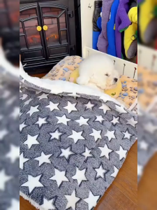 เสื่อสุนัข มีประสิทธิภาพป้องกันการฉีกขาดกัด ดูดซับน้ำ แมวและสุนัขสากล เสื่อนอน หมอนอิงสัตว์เลี้ยง เสื่อสัตว์เลี้ยง สามขนาดให้เลือก