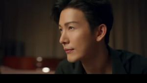 Sheba Melty Creamy Cat Treat Puree Lickable Liquid Cat Snack Lick 48G