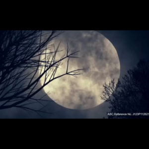 LASON SA ANAY AMAG (FUNGI) BUKBOK(BORERS) SOLIGNUM ALL AROUND CLEAR / BROWN / COLOURLESS 1 LITER