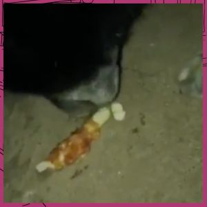 ขนมสุนัข ขนมขัดฟันสุนัข กระดูกขัดฟัน กระดูกรสนมสด ไก่พันกระดูก ขนาด400กรัม