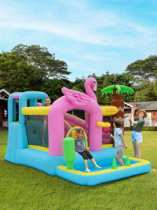 Home Inflatable Bouncer