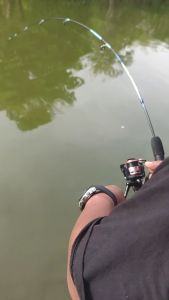 Joran BC Submarine Mandalika: Ukuran dan Kualitas Terbaik