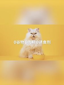 The Cats Travel Full Price Freeze Dried Staple Food Poached Egg for Cat and Dog 猫儿游记猫犬全价主食级别均衡营养荷包蛋冻干