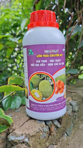 [VTNN TIEN KHOA] PHÂN BÓN MAX FRUIT 500ML LỚN TRÁI CHUYÊN MÍT - PHÌ TRÁI - ĐẶC RUỘT - NỞ GAI ĐỀU - HẠN CHẾ SƠ ĐEN
