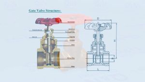 Gate Valve 1/2" Stop Kran Kuningan Brass BONUCI Keran Putar