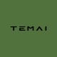 Temai Auto Flagship Store