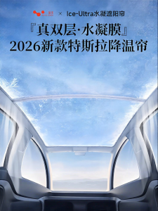 HELLOLEIBOO | Sunshade for Tesla Models Y and 3