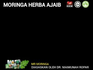 Serbuk Moringa Daun Mr Moringa Original Mr Moringa