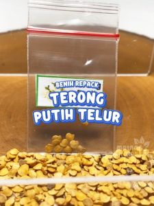 Benih Terong Putih Telur Unggulan Berkualitas biji bibit repack terung lalap telor bulat hydroponik hidroponik sayur sayuran tanaman pot