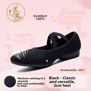 Comfortable Dancing Soft Bottom Dance Shoes for Women