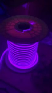 220V Bluetooth APP RGB LED Neon Strip Light: Free Smart Control & IP67 Waterproof