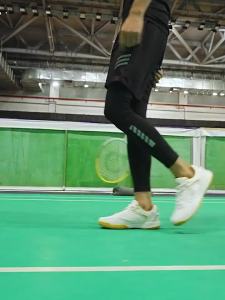 Warrior | Cushioning Breathable Professional Badminton Shoes