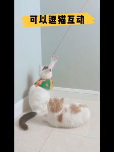 🐾พร้อมส่ง🐾ของเล่นแมว ไม้ตกแมว ไม้ล่อแมวผีเสื้อยืดได้หดได้  ของเล่นแมวA24