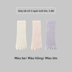 Tất MiiOW nữ làm bằng vải cotton thấm hút mồ hôi kháng khuẩn