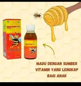 Royal Honey Nasa Ori - meningkatkan daya tahan tubuh - meningkakan nafsu makan - meningkatakan kecerdasan otak - mempercepat pertumbuhan