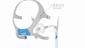 ResMed AirFit™ N20 Nasal CPAP Mask with Headgear