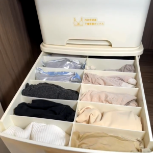 Homepeas® Wardrobe Organiser Drawer Type Underwear Storage Box Collapsible Bra Socks Storage Bin for Underwear Underpants Socks