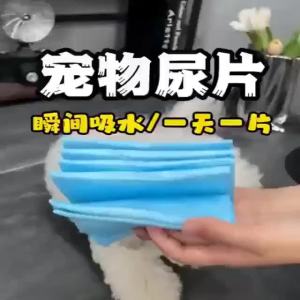 Pet Pee Pad Cat Dog Disposable Training Mat Super Absorbent Deodorant Pet Urine Diaper Leak-Proof Pad Mat