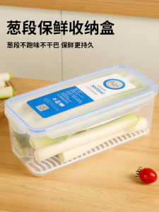 Food Grade Sealed Storage Box Long Rectangular ness Preservation for Scallions Cilantro Fridge Vegetable Fruit Plastic