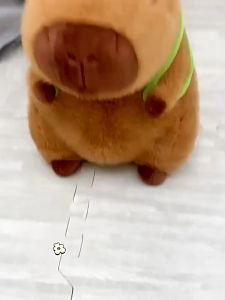 Gấu Bông Capybara Capybara đeo Balo rùa Sang Trọng Trẻ Em Quà Tặng Sinh Nhật Thú Nhồi Bông Đồ Chơi