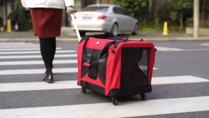 [SIZE siêu lớn 30KG] Túi kéo thú cưng chó mèo kiêm nhà di động gấp gọn khi du lịch có bánh xe tiện dụng chiều dài 75cm