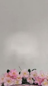 Tas Bekal Lunch Bag Makanan Karakter Hadiah dan Bingkisan Souvenir Ulang Tahun Anak-anak