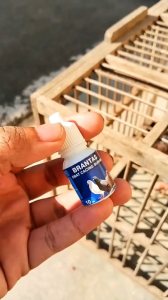 Obat cacing burung untuk burung seperti merpati dara perkutut dan lainnya - BRANTAS BURUNG 30 ml