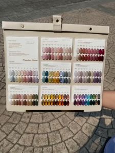 80 Colors 15ML Japanese Ice Transparent Summer Nude Color Seriesb Nail Polish Gel UV LED 透色指甲甲油胶日式冰透水润美肌夏天裸色美甲店专用