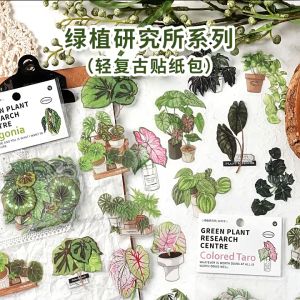IFM INS Green Plant Research Centre Series Deco Stickers Botanical Tropical Leaf DIY Decorations Journal Scrapbooking