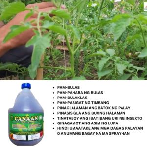 Liquid Fertilizer Canaan: Organic Plant Nutrient & Soil Health Improvement