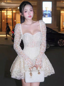 Elegant Lace and Embroidery Dress Autumn New Style Fitting