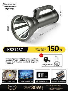 Powerful Long Range Laser Flashlight