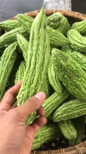 [CHÍNH HÃNG] Xà Phòng Mướp Đắng HTX Sinh Dược xông bông thiên nhiên mát da giảm mụn-110g