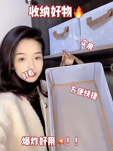 Foldable Clothes and Miscellaneous Items Storage Box with Steel Frame Wardrobe Organization and Storage