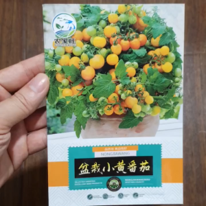 Hạt giống cà chua bi vàng lùn có thể trông chậu hạt giống cà chua bi vàng nhập khẩu - Yến Liên shop