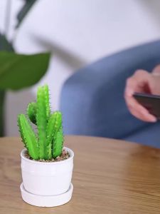 SAMTOGO | Multifunctional Phone Stand 360 Rotation Adjustable