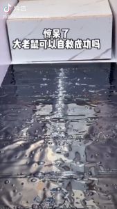 Super Sticky Mouse Rat Glue Trap: 1.2M Big Size Mouse Board Trap