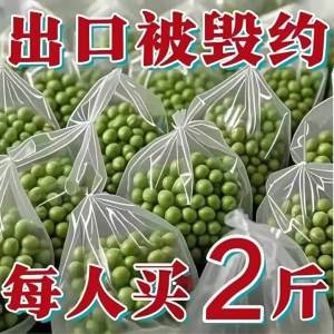 Non-GMO Fresh Dried Peas