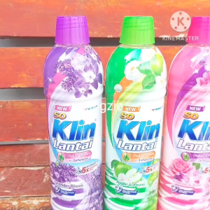 Harga 2 botol Soklin lantai kemasan botol 800 ML