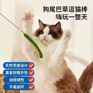 Durable Handheld Cat Toy Mouse Stick Long Pole for Kittens Interactive Play Anti-bite Cat Teaser Toy Pet Supplies